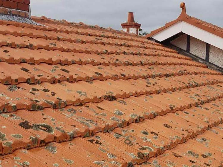 Terracorra Roof with Lichen in Melbourne