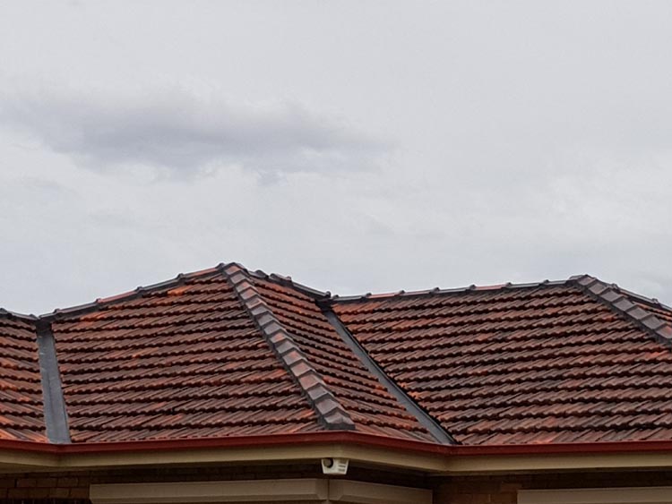 Terracotta Roof Restoration by Vivify Roofing