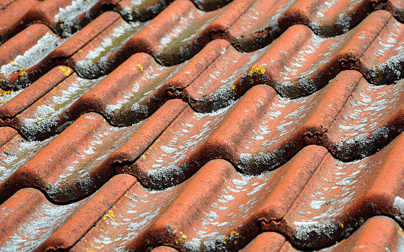 saltwater effect terracotta roof