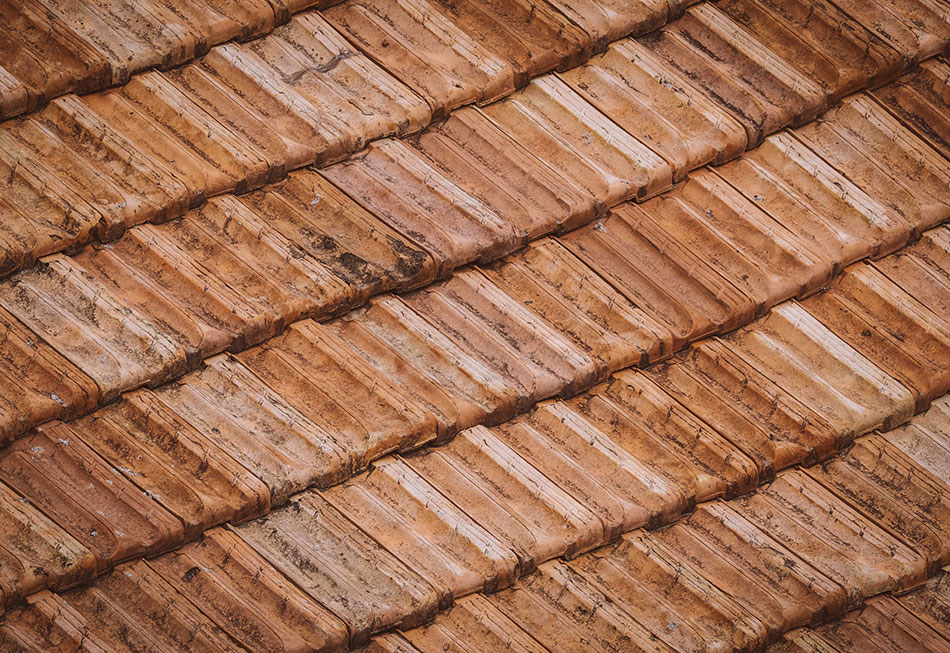The Ultimate Guide to Painting Roof Tiles Feat Image